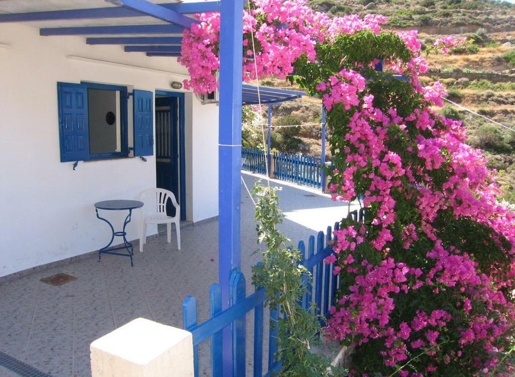 ואתי Villa Costa Studios מראה חיצוני תמונה